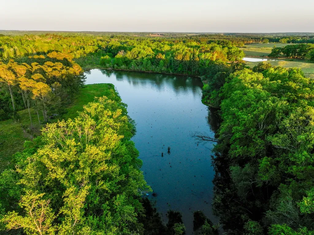 75+/- Acres County Road 625 Coffee Springs AL 36318