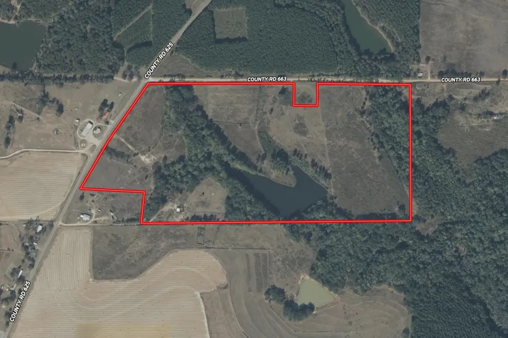 75+/- Acres County Road 625 Coffee Springs AL 36318