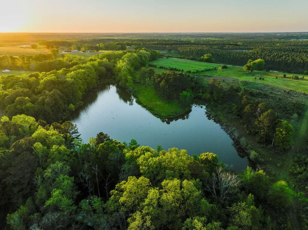 75+/- Acres County Road 625 Coffee Springs AL 36318
