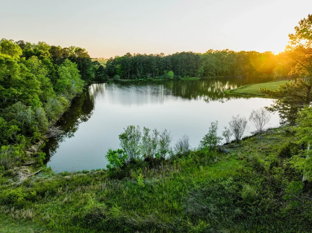 75+/- Acres County Road 625 Coffee Springs AL 36318