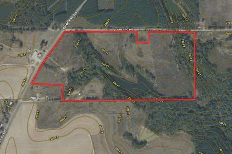 75+/- Acres County Road 625 Coffee Springs AL 36318