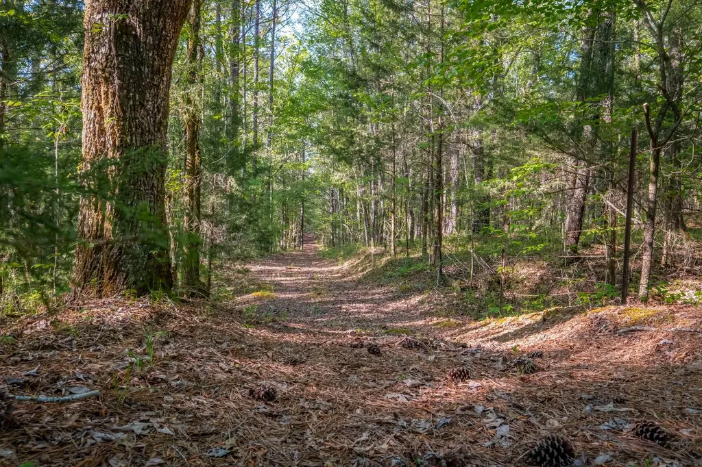1265-A Dogwood Lane Peidmont AL 36272