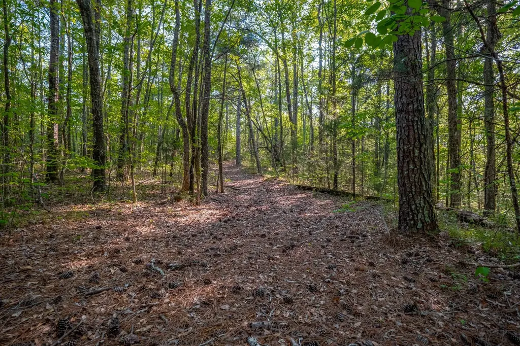 1265-A Dogwood Lane Peidmont AL 36272