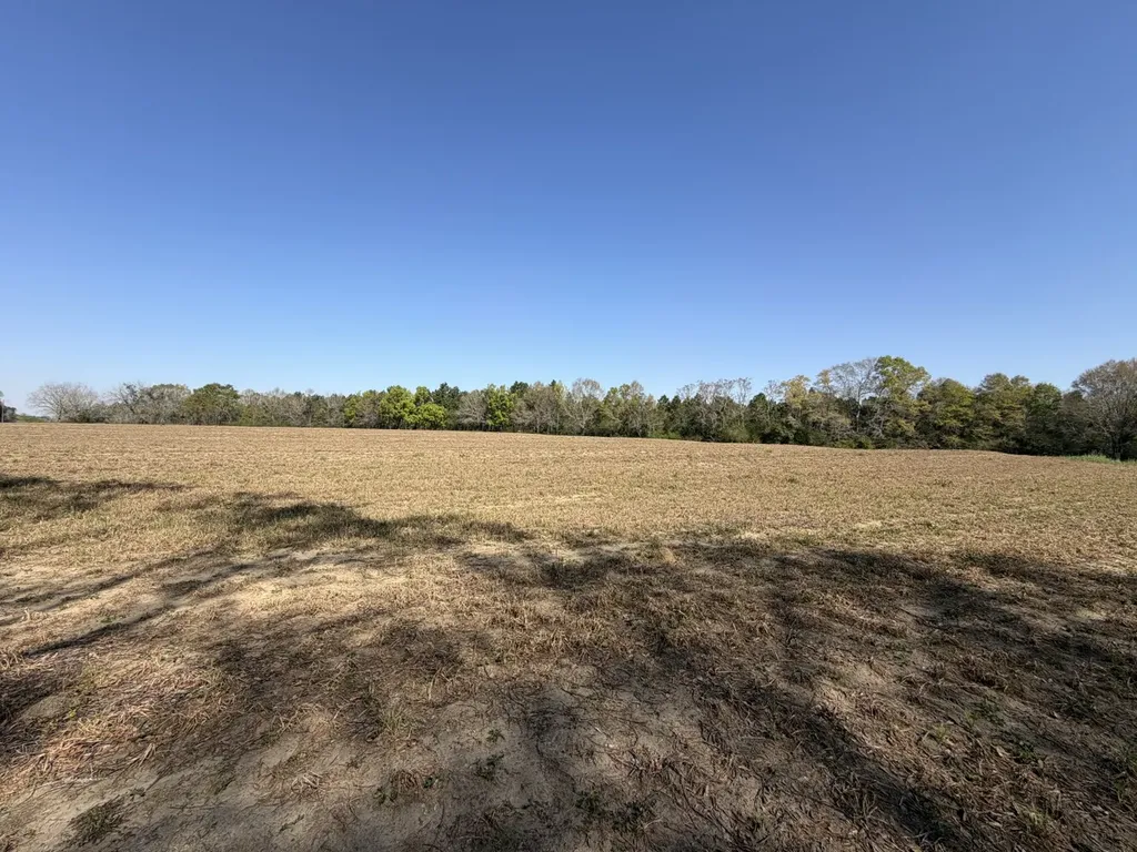 0 Highway 68 Dothan AL 36305
