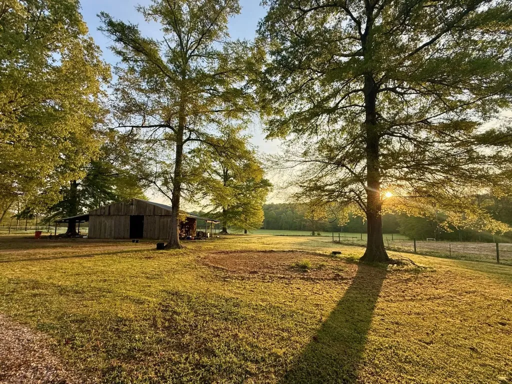 933 Mackey Boshell Road Jasper AL 35501