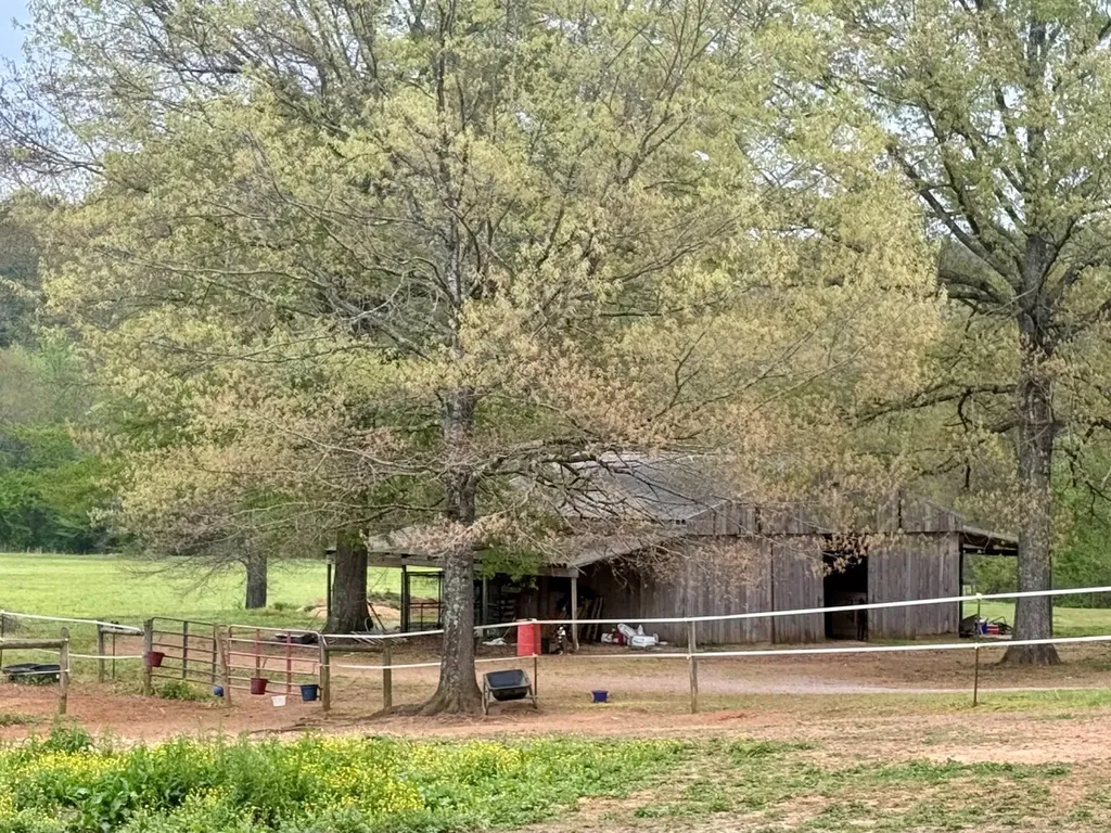 933 Mackey Boshell Road Jasper AL 35501