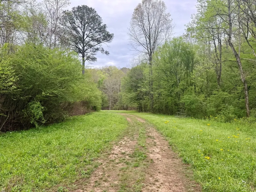 933 Mackey Boshell Road Jasper AL 35501