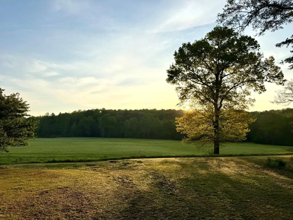 933 Mackey Boshell Road Jasper AL 35501