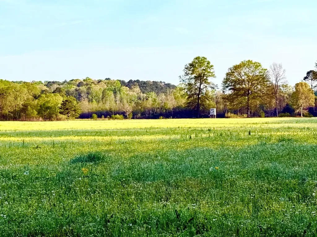 933 Mackey Boshell Road Jasper AL 35501