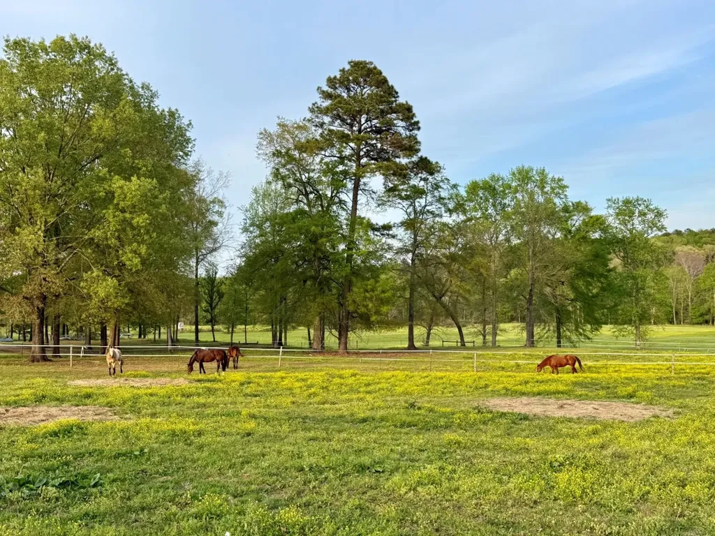 933 Mackey Boshell Road Jasper AL 35501
