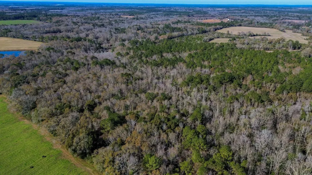 0 Highway 84 Opp AL 36467