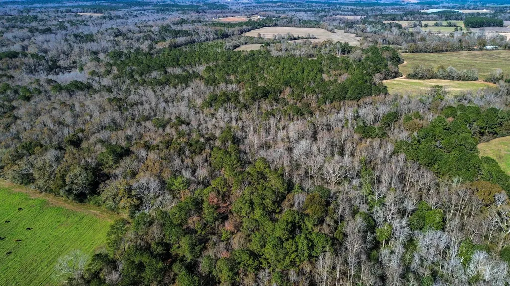 0 Highway 84 Opp AL 36467