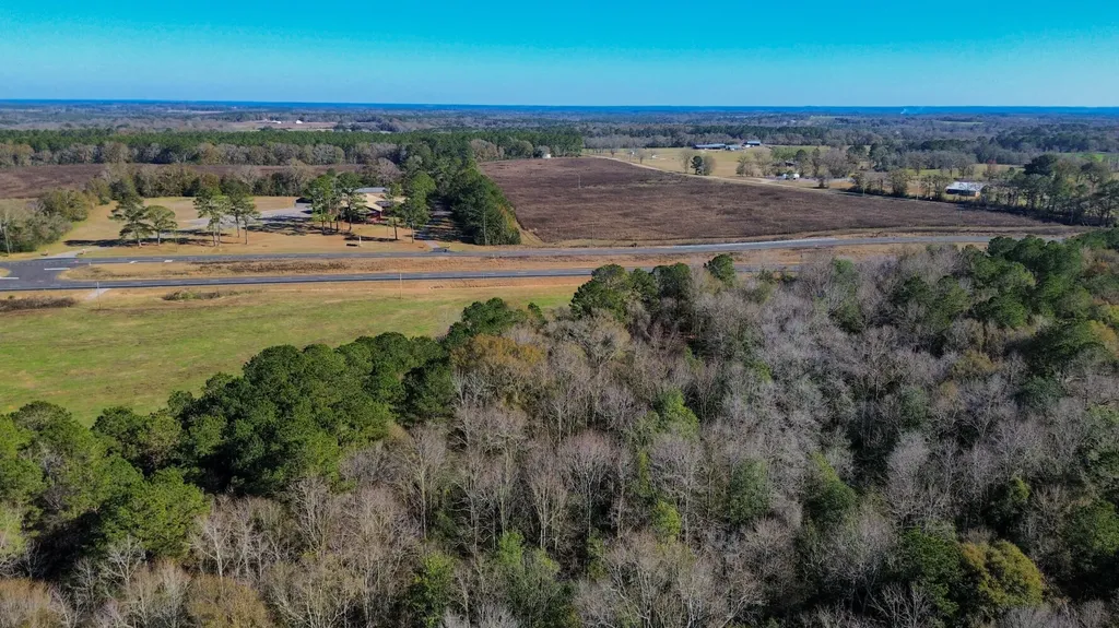 0 Highway 84 Opp AL 36467