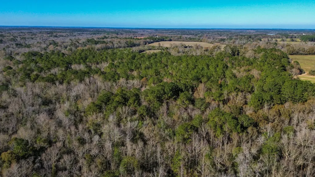0 Highway 84 Opp AL 36467