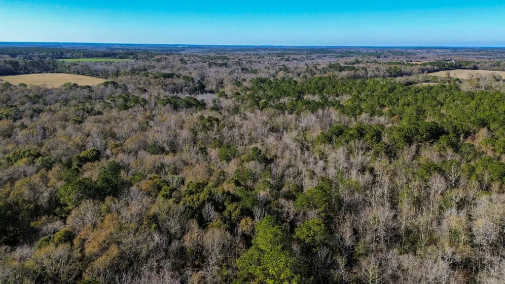 0 Highway 84 Opp AL 36467
