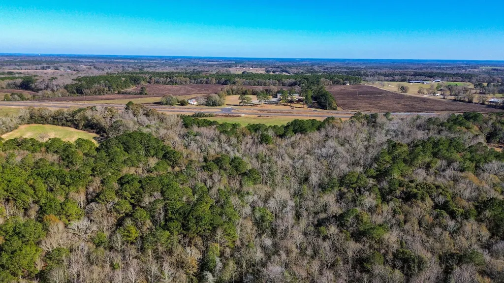 0 Highway 84 Opp AL 36467