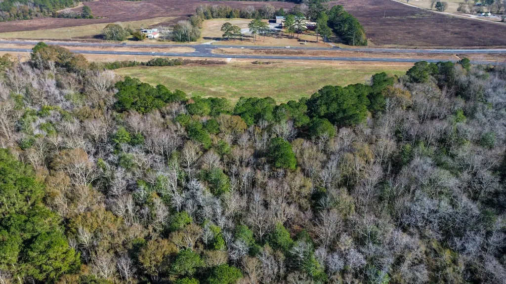 0 Highway 84 Opp AL 36467