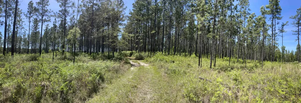 0 Orem Road Bay Minette AL 36507