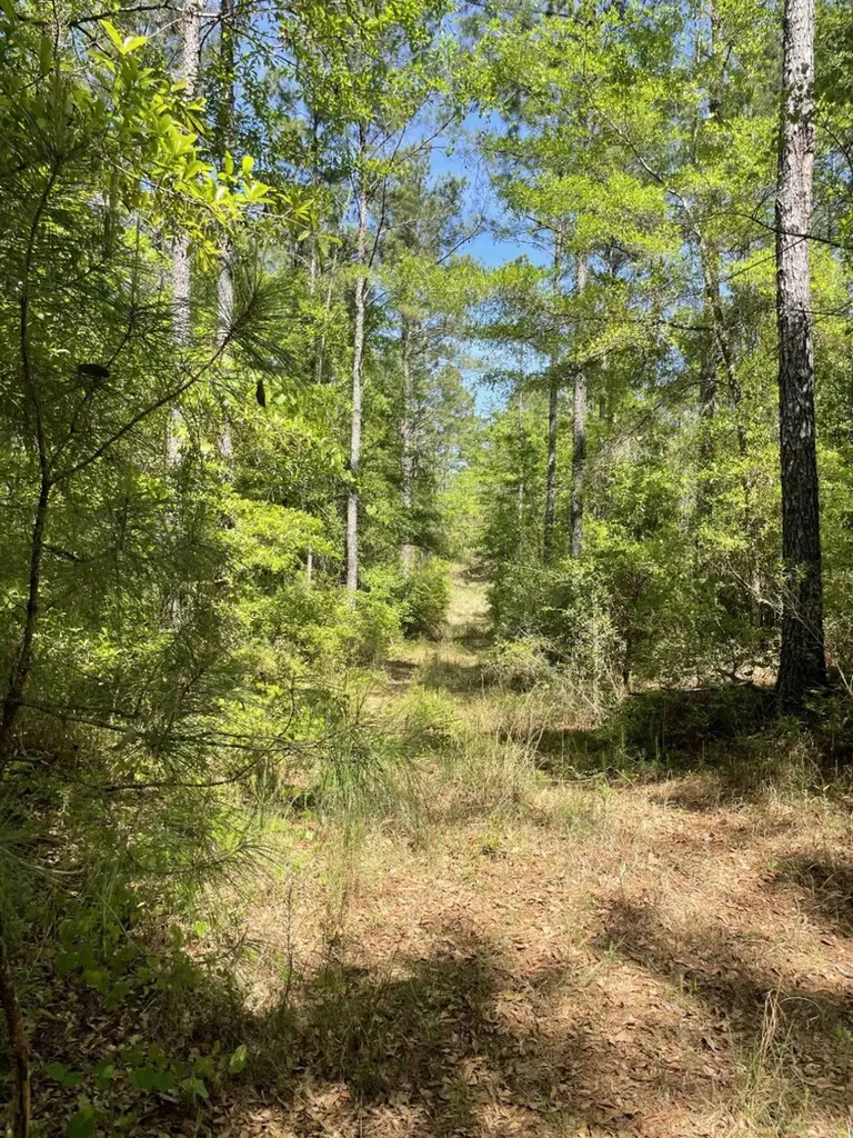 0 Orem Road Bay Minette AL 36507