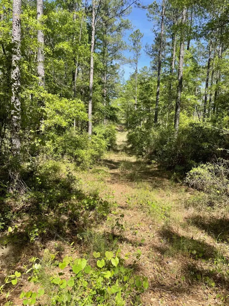 0 Orem Road Bay Minette AL 36507