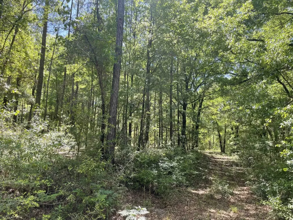 0 Orem Road Bay Minette AL 36507