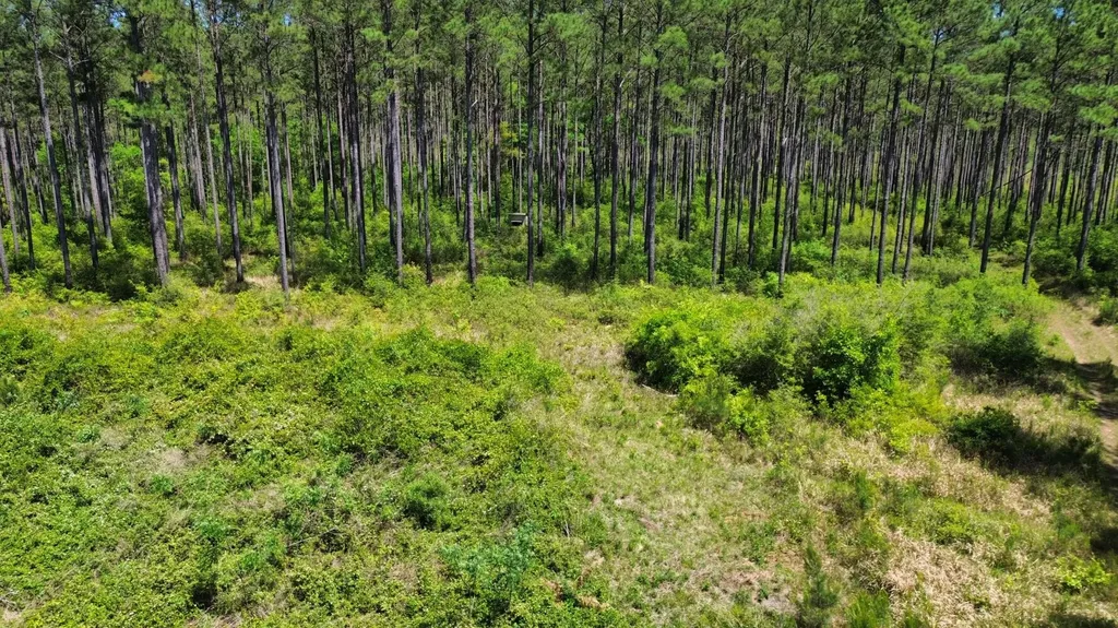 0 Orem Road Bay Minette AL 36507