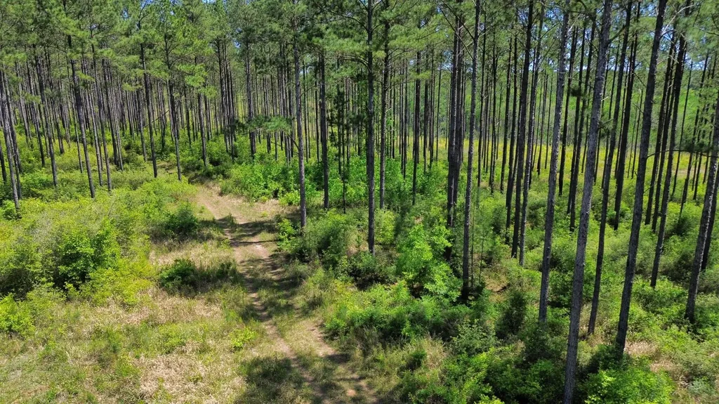 0 Orem Road Bay Minette AL 36507