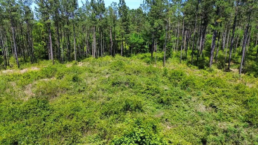 0 Orem Road Bay Minette AL 36507