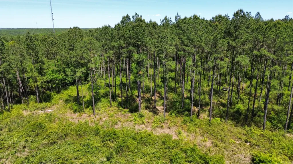 0 Orem Road Bay Minette AL 36507
