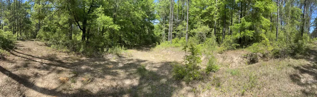 0 Orem Road Bay Minette AL 36507