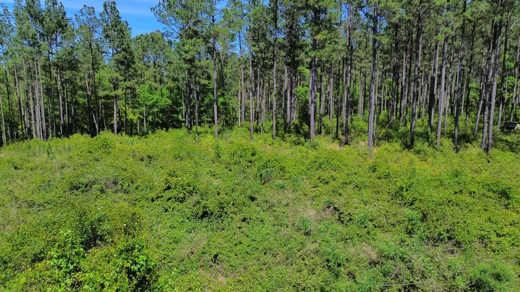 0 Orem Road Bay Minette AL 36507