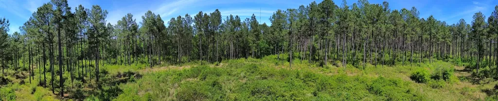 0 Orem Road Bay Minette AL 36507