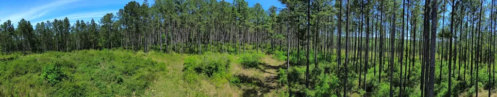 0 Orem Road Bay Minette AL 36507