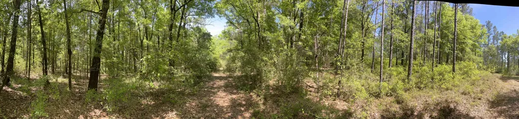 0 Orem Road Bay Minette AL 36507