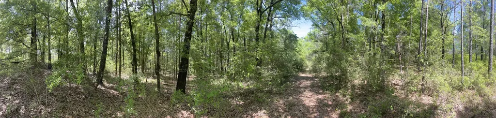 0 Orem Road Bay Minette AL 36507