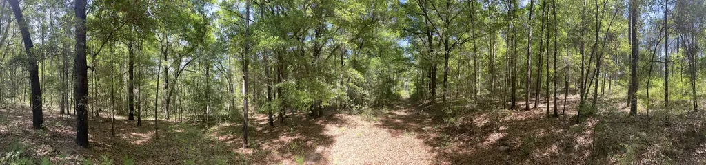 0 Orem Road Bay Minette AL 36507