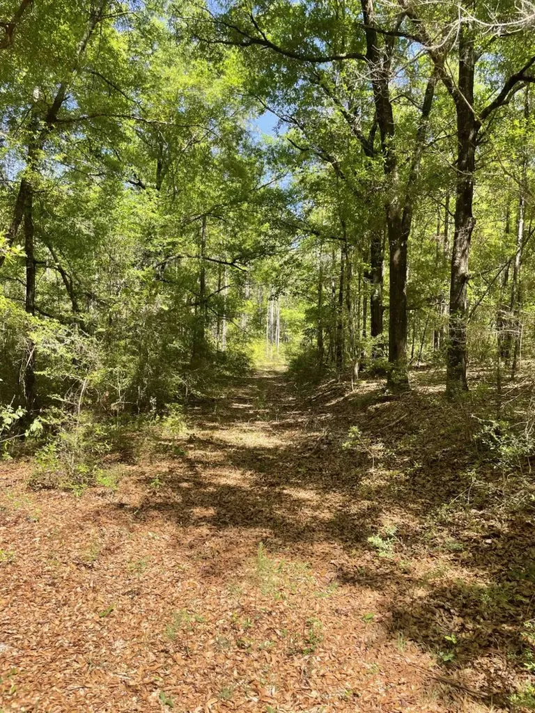 0 Orem Road Bay Minette AL 36507
