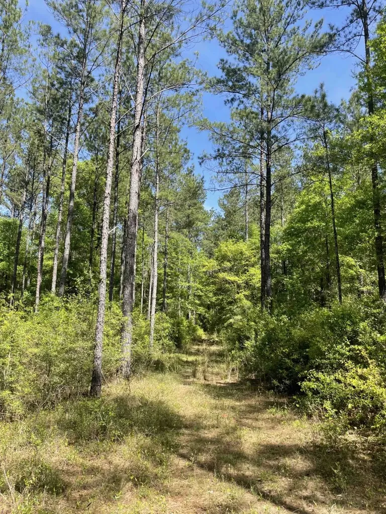 0 Orem Road Bay Minette AL 36507