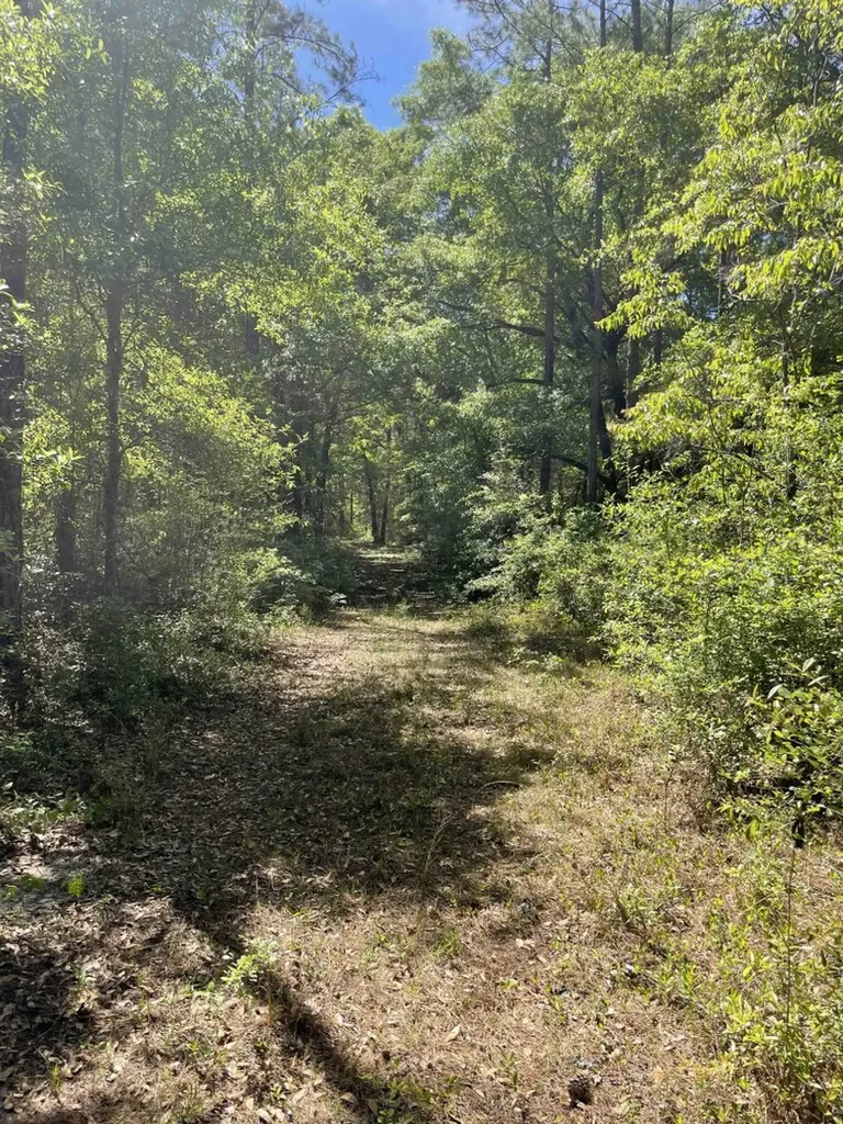0 Orem Road Bay Minette AL 36507