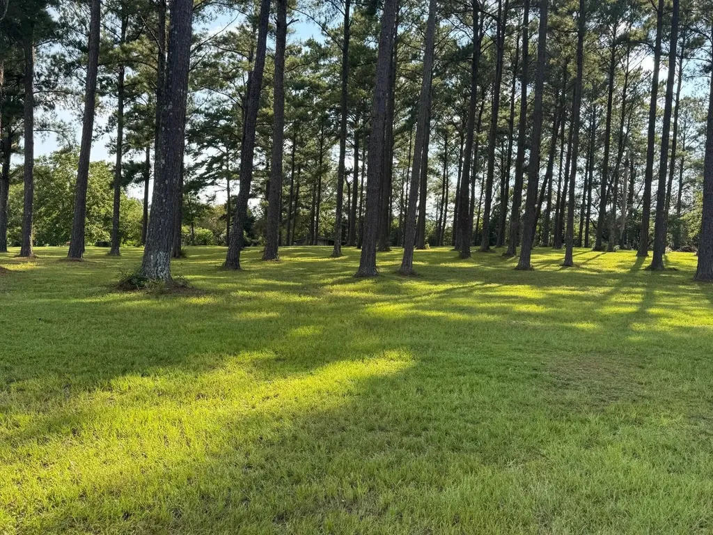 26511 Antioch Road Andalusia AL 36421