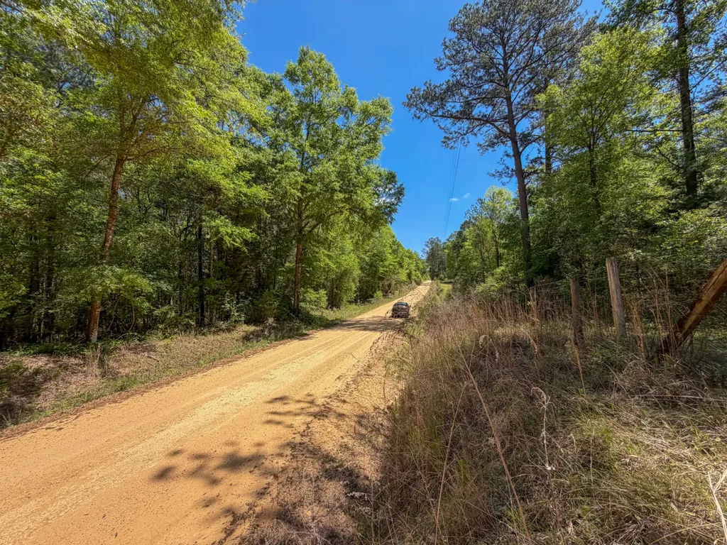 0 Grider Mock Road Red Level AL 36474