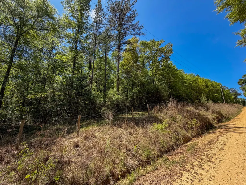 0 Grider Mock Road Red Level AL 36474