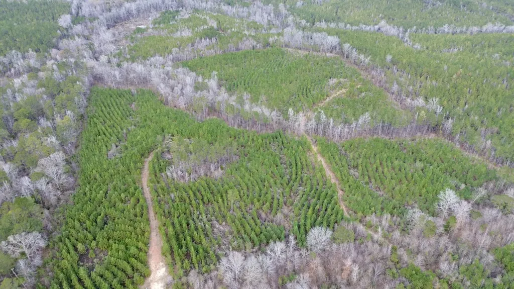0 County Road 67 Thomasville AL 36769