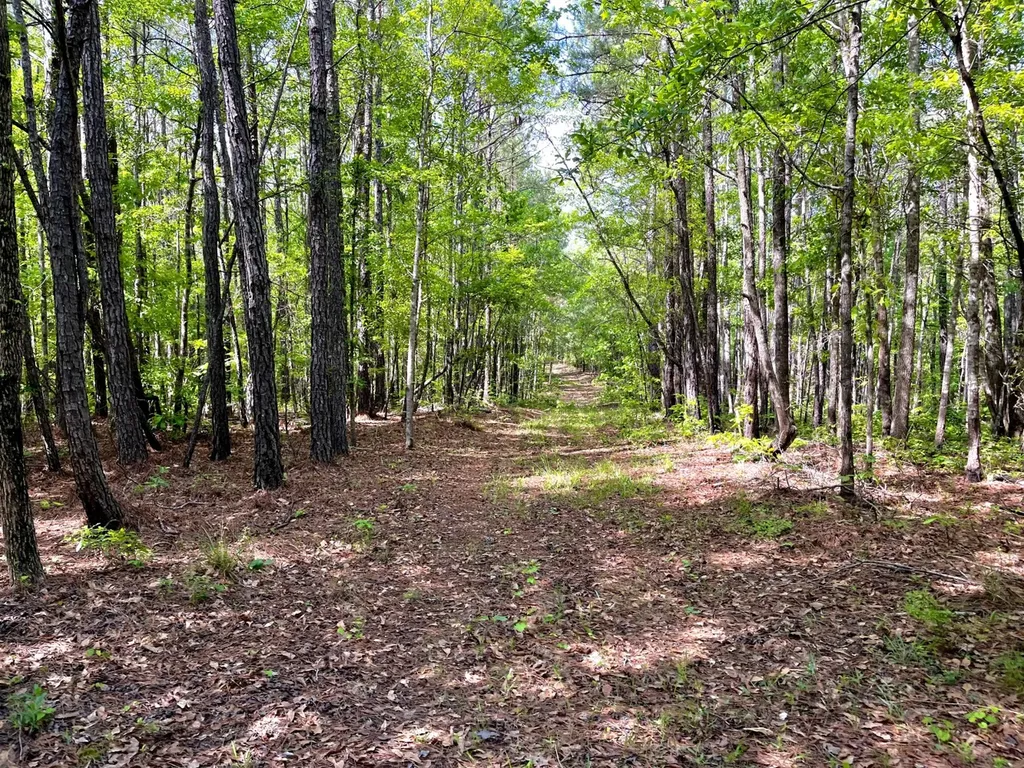 0 Booth Town Road Buhl AL 35446