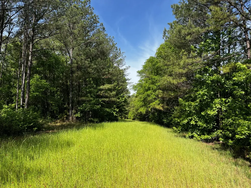 0 Booth Town Road Buhl AL 35446