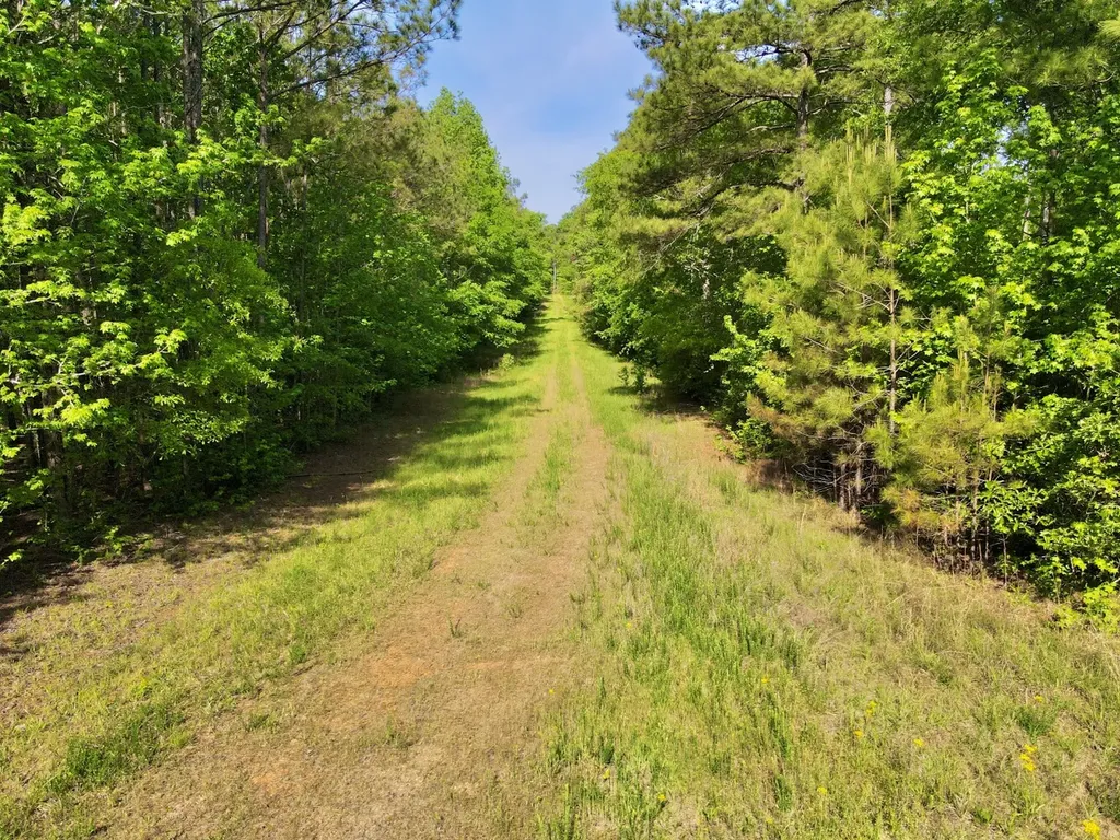 0 Booth Town Road Buhl AL 35446