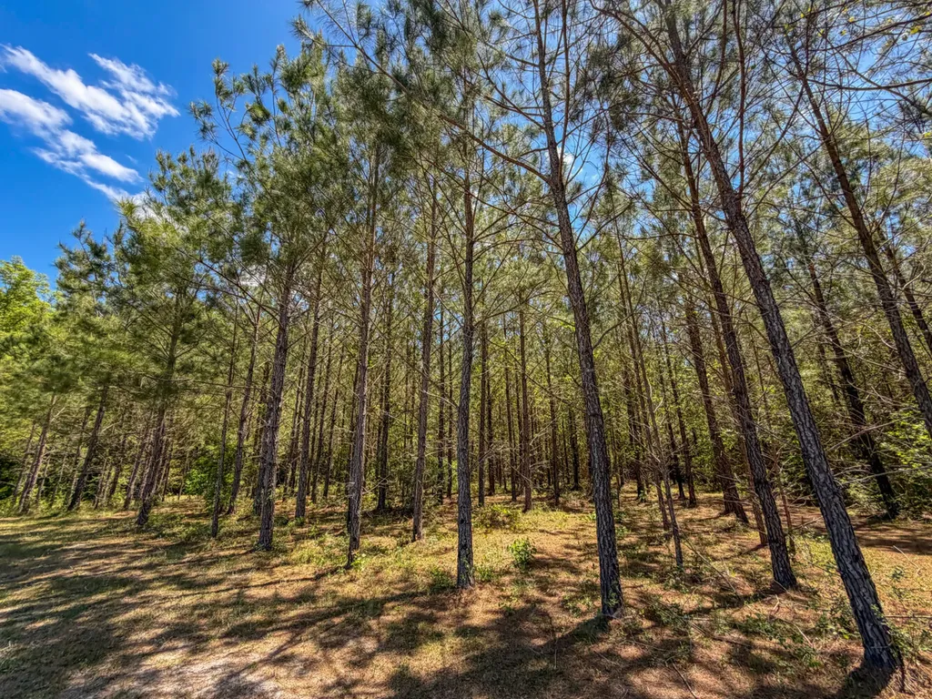 7072 Brooklyn Road Andalusia AL 36421