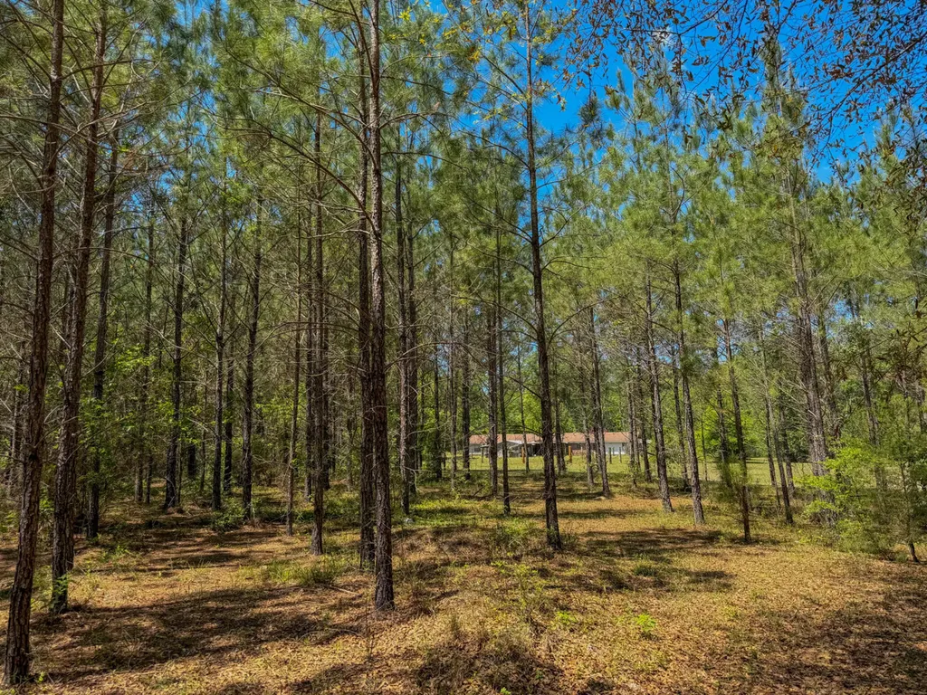 7072 Brooklyn Road Andalusia AL 36421