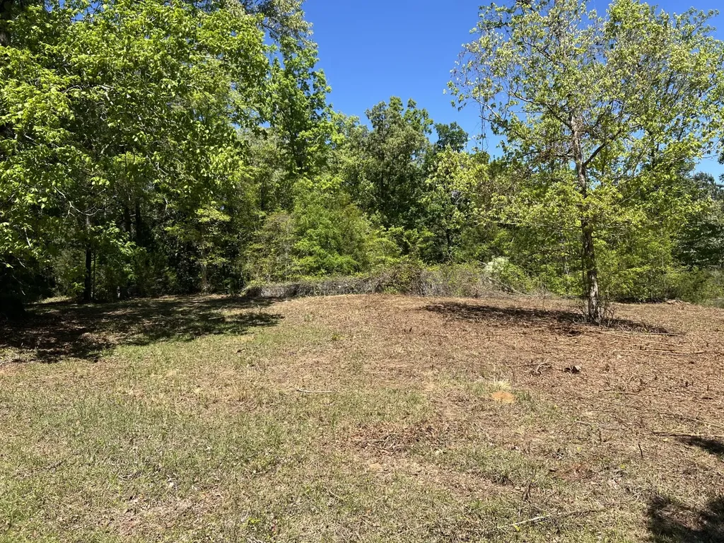 360 Sherwood Trail Newton AL 36352