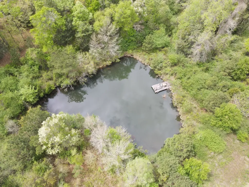 360 Sherwood Trail Newton AL 36352